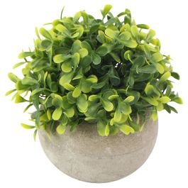 Planta artificial buxus polietileno amarillo 14x13 cm Basic Living